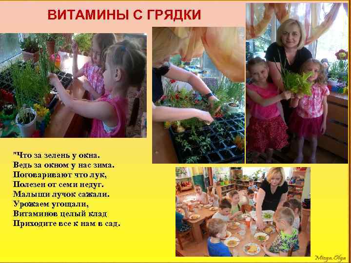  ВИТАМИНЫ С ГРЯДКИ 