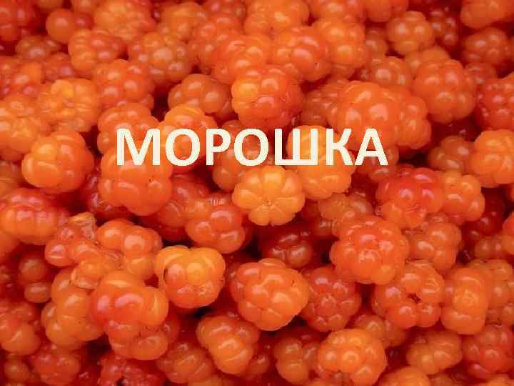 МОРОШКА 