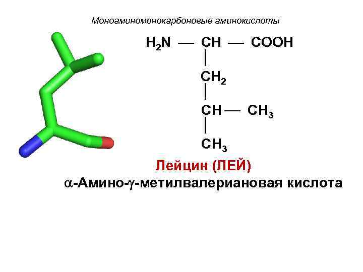Моноаминомонокарбоновые аминокислоты H 2 N CH COOH CH 2 CH 3 Лейцин (ЛЕЙ) -Амино-
