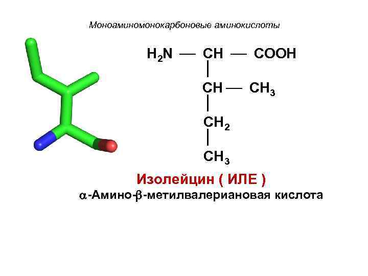 Моноаминомонокарбоновые аминокислоты H 2 N CH COOH CH 3 CH 2 CH 3 Изолейцин