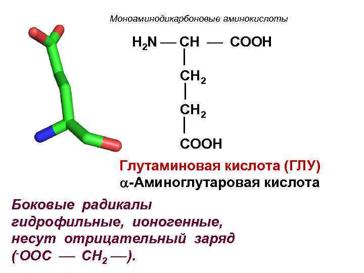  Моноаминодикарбоновые аминокислоты H 2 N CH COOH CH 2 COOH Глутаминовая кислота (ГЛУ)