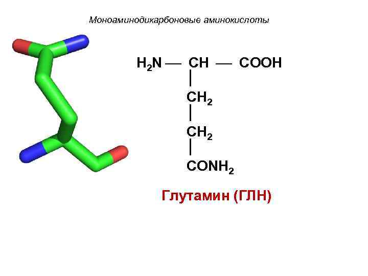 Моноаминодикарбоновые аминокислоты H 2 N CH COOH CH 2 CONH 2 Глутамин (ГЛН) 