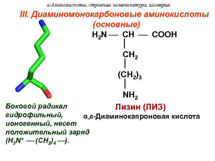 α-Аминокислоты, строение, номенклатура, изомерия III. Диаминомонокарбоновые аминокислоты (основные) H 2 N CH COOH CH