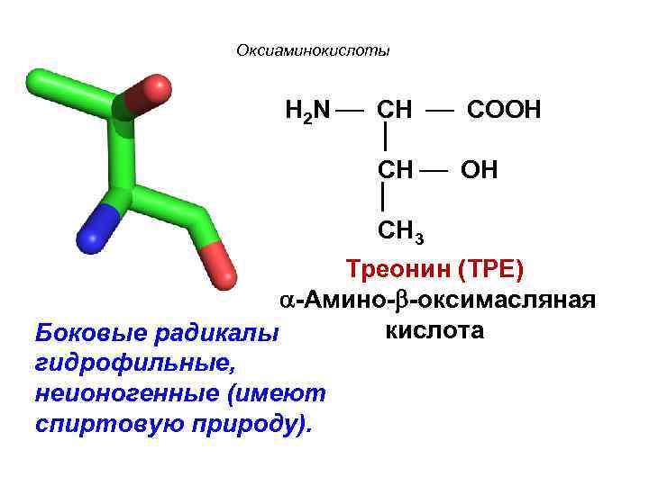 Оксиаминокислоты H 2 N CH COOH CH 3 Треонин (ТРЕ) -Амино- -оксимасляная кислота Боковые