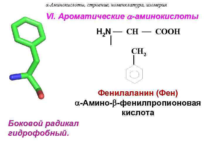 α-Аминокислоты, строение, номенклатура, изомерия VI. Ароматические -аминокислоты H 2 N CH COOH CH 2
