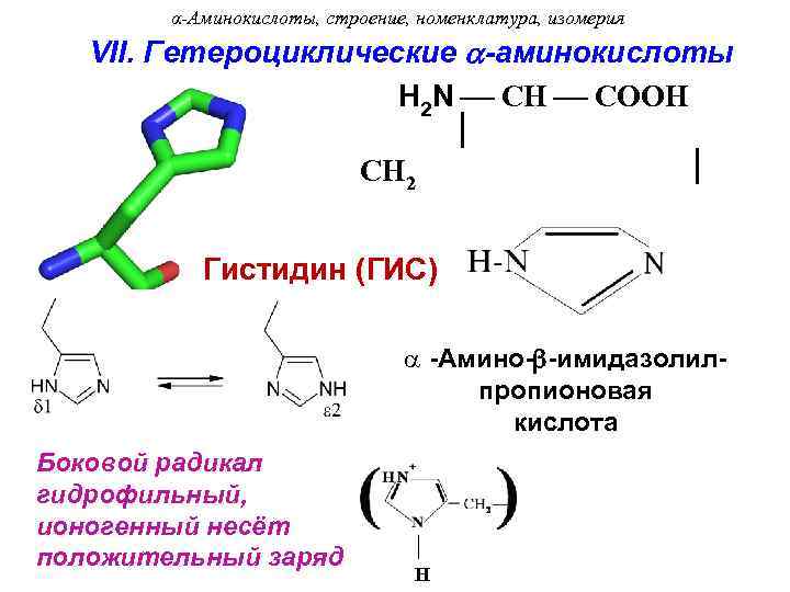 α-Аминокислоты, строение, номенклатура, изомерия VII. Гетероциклические -аминокислоты H 2 N CH COOH CH 2