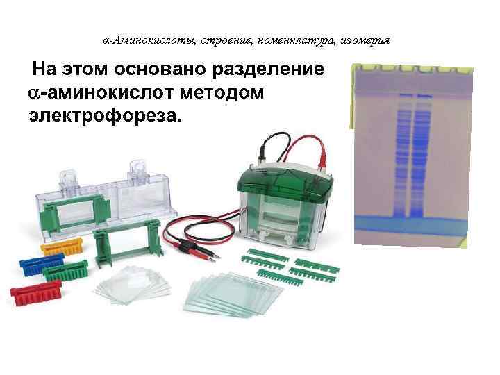 α-Аминокислоты, строение, номенклатура, изомерия На этом основано разделение -аминокислот методом электрофореза. 