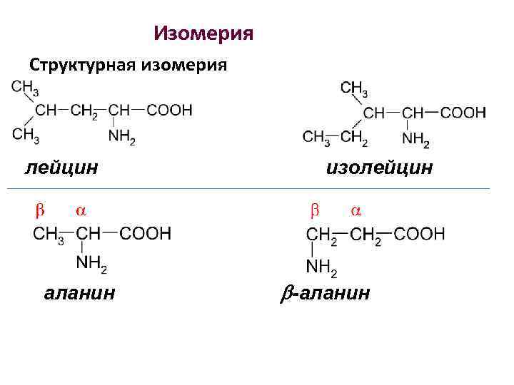 Изомерия Структурная изомерия лейцин изолейцин аланин b-аланин 
