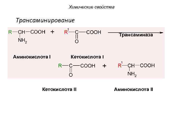 Химические свойства Трансаминирование Трансаминаза Аминокислота I Кетокислота II Аминокислота II 