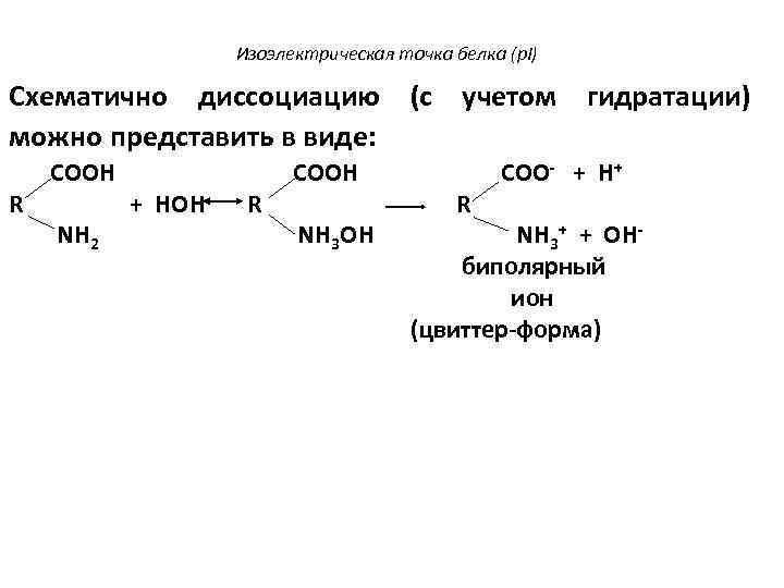 Изоэлектрическая точка белка (p. I) Схематично диссоциацию (с учетом гидратации) можно представить в виде: