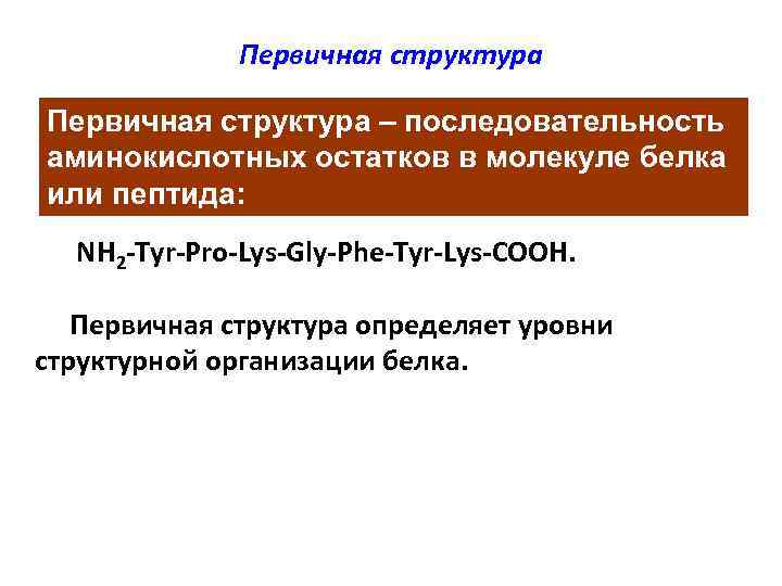 Первичная структура – последовательность аминокислотных остатков в молекуле белка или пептида: NH 2 -Tyr-Pro-Lys-Gly-Phe-Tyr-Lys-COOH.