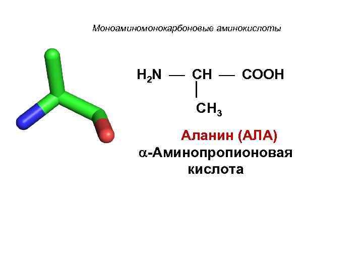 Моноаминомонокарбоновые аминокислоты H 2 N CH COOH CH 3 Аланин (АЛА) -Аминопропионовая кислота 