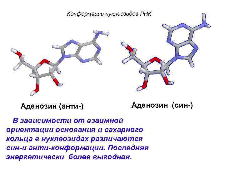 Конформации нуклеозидов РНКación Аденозин (анти-) Аденозин (син-) В зависимости от взаимной ориентации основания и
