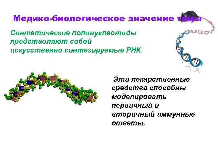 Медико-биологическое значение темы Синтетические полинуклеотиды представляют собой искусственно синтезируемые РНК. Эти лекарственные средства способны
