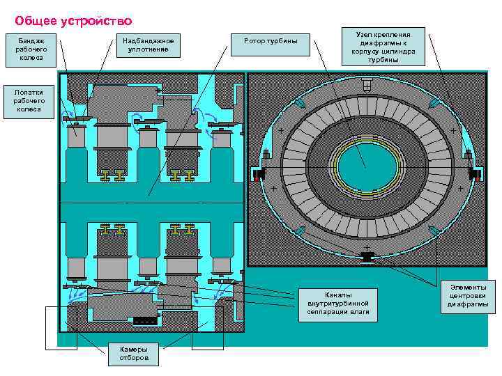 Общее устройство Бандаж рабочего колеса Надбандажное уплотнение Ротор турбины Узел крепления диафрагмы к корпусу