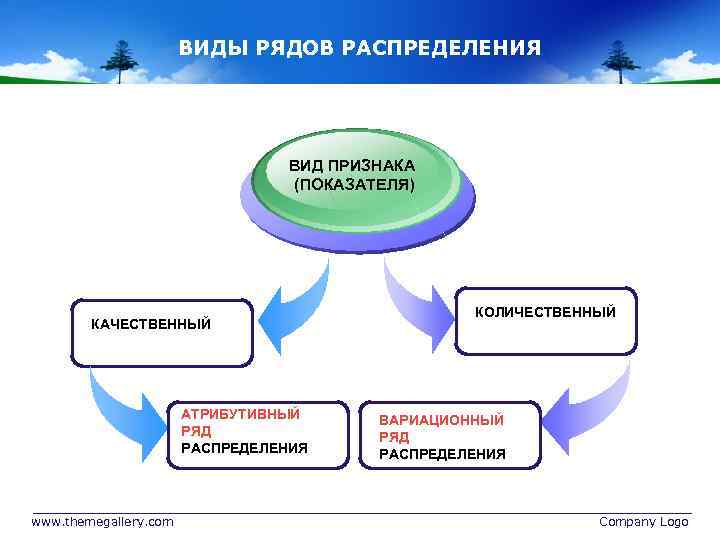 ВИДЫ РЯДОВ РАСПРЕДЕЛЕНИЯ ВИД ПРИЗНАКА (ПОКАЗАТЕЛЯ) КАЧЕСТВЕННЫЙ АТРИБУТИВНЫЙ РЯД РАСПРЕДЕЛЕНИЯ www. themegallery. com КОЛИЧЕСТВЕННЫЙ