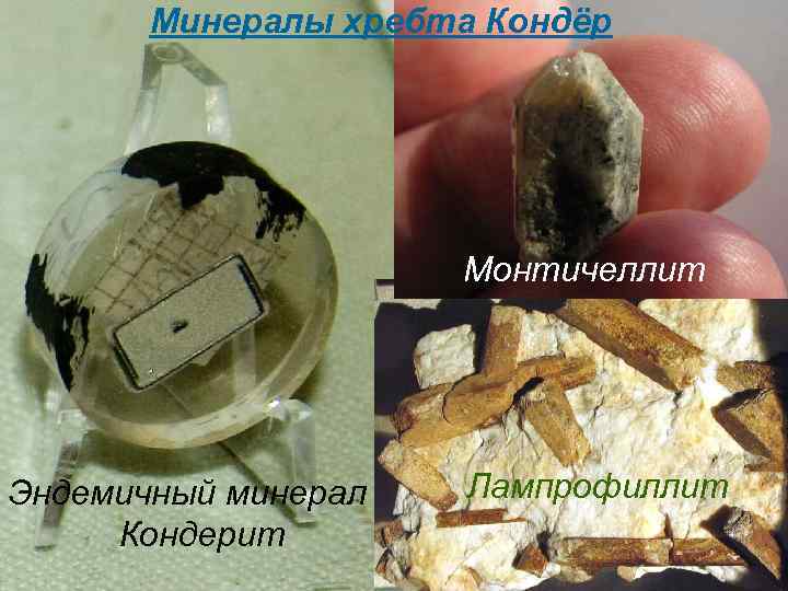 Минералы хребта Кондёр Монтичеллит Лампрофиллит Эндемичный минерал Кондерит 