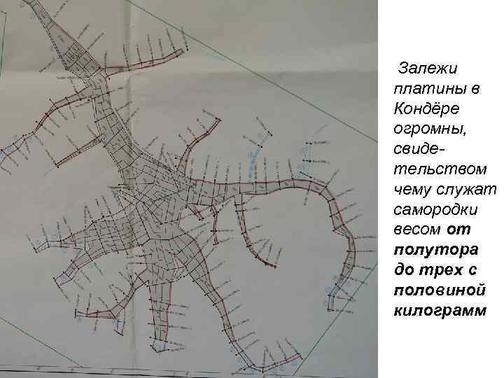  Залежи платины в Кондёре огромны, свидетельством чему служат самородки весом от полутора до