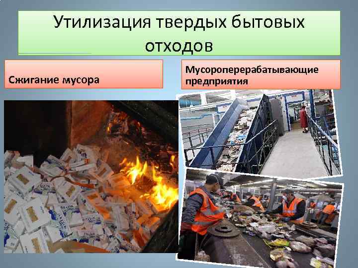 Утилизация твердых бытовых отходов Сжигание мусора Мусороперерабатывающие предприятия 