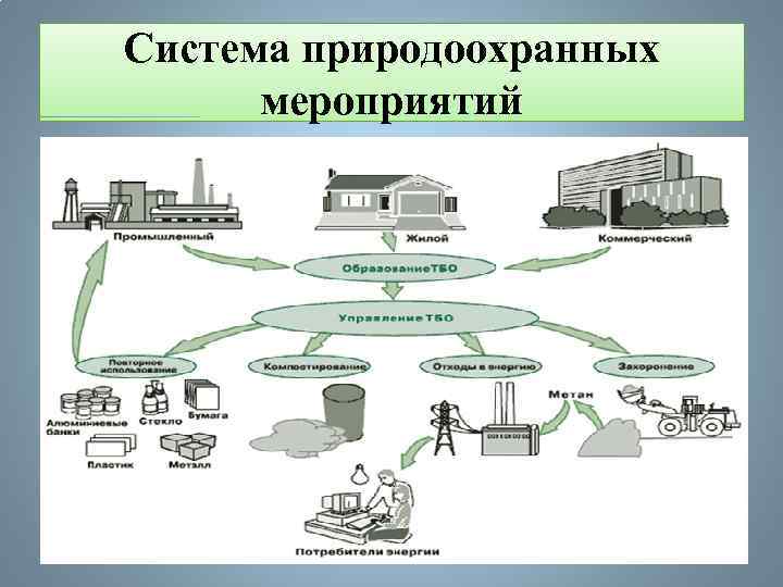 Система природоохранных мероприятий 