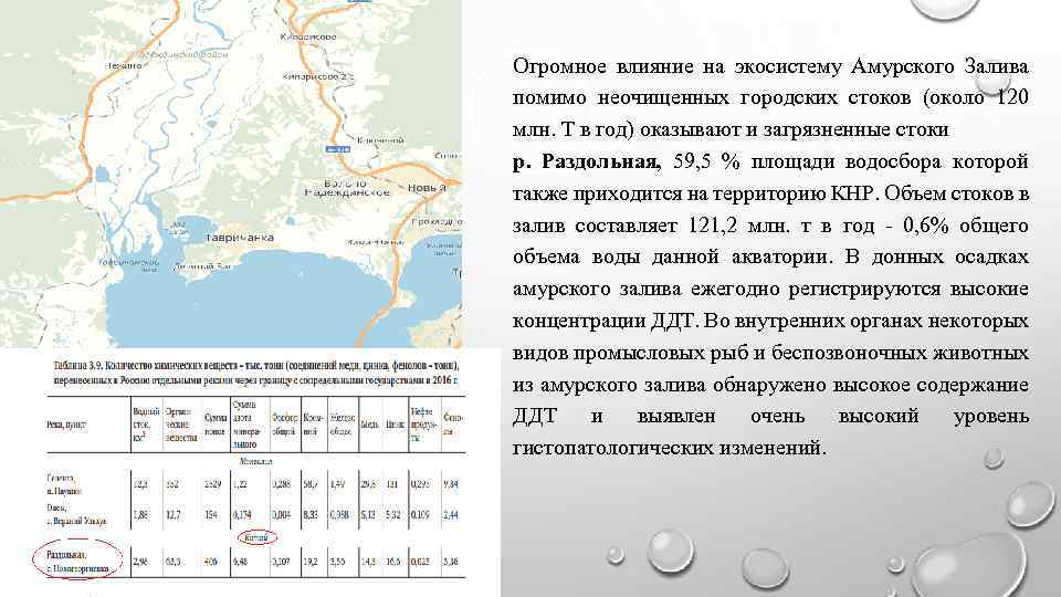 Огромное влияние на экосистему Амурского Залива помимо неочищенных городских стоков (около 120 млн. Т