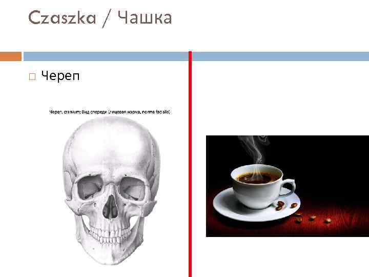 Czaszka / Чашка Череп 