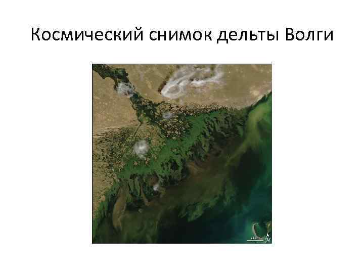 Космический снимок дельты Волги 