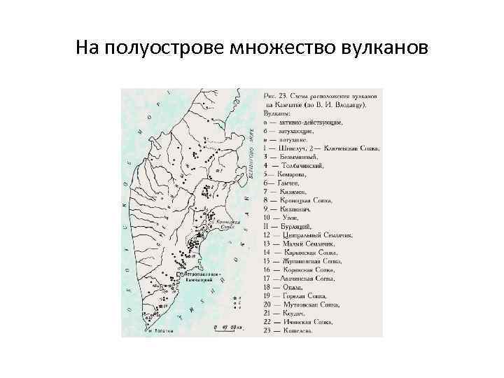 На полуострове множество вулканов 