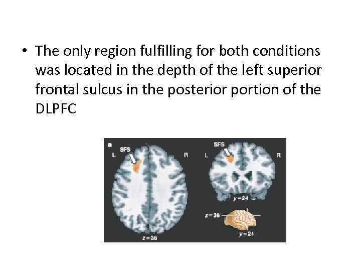  • The only region fulfilling for both conditions was located in the depth