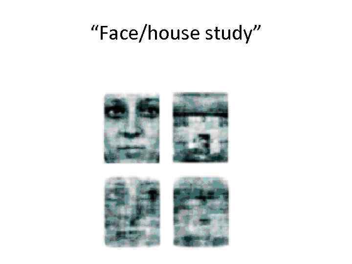 “Face/house study” 