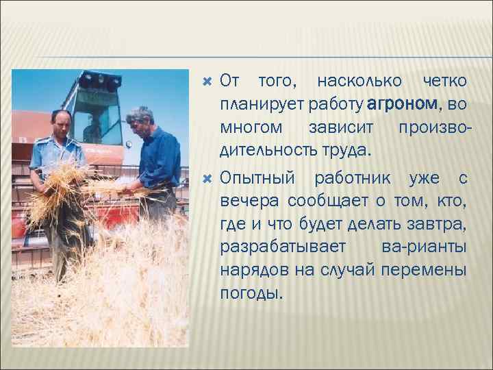  От того, насколько четко планирует работу агроном, во многом зависит производительность труда. Опытный