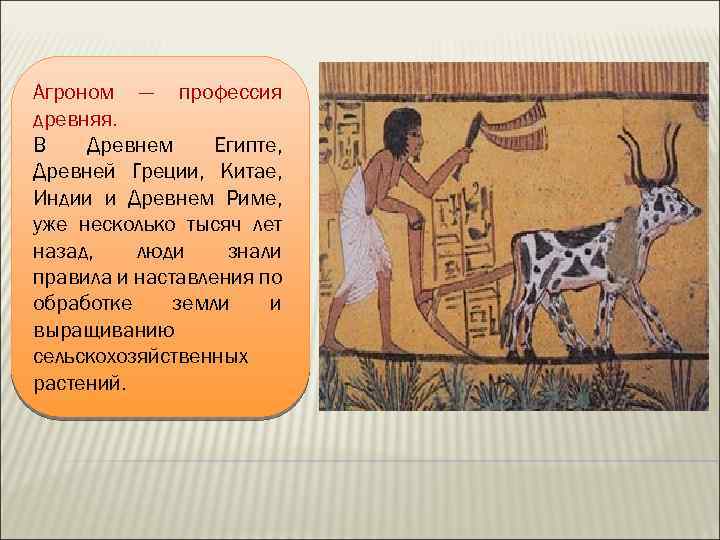 Агроном — профессия древняя. В Древнем Египте, Древней Греции, Китае, Индии и Древнем Риме,