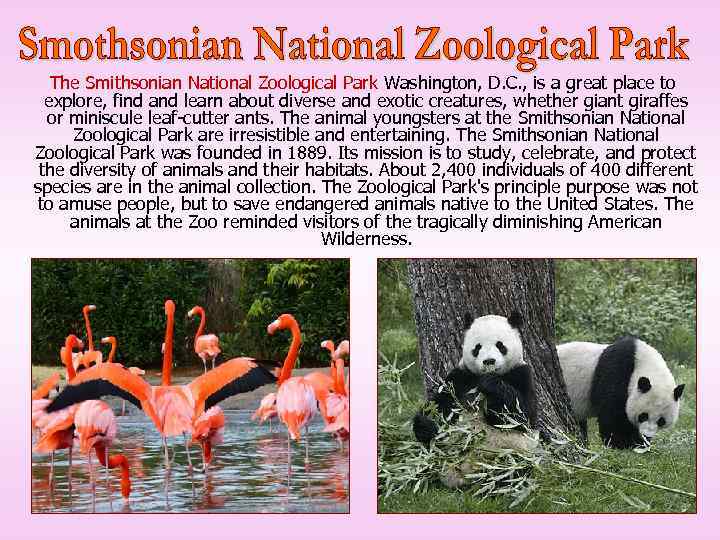 The Smithsonian National Zoological Park Washington, D. C. , is a great place to