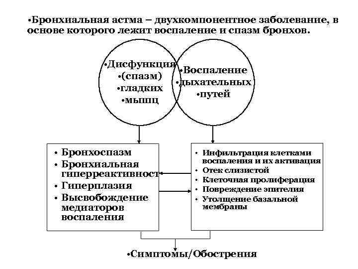  • Бронхиальная астма – двухкомпонентное заболевание, в основе которого лежит воспаление и спазм
