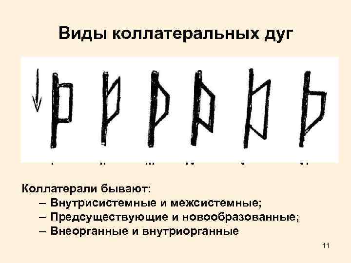 Виды коллатеральных дуг I II III* IV V** VI Коллатерали бывают: – Внутрисистемные и