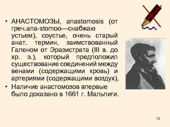  • АНАСТОМОЗЫ, anastomosis (от греч. апа-stomoo—снабжаю устьем), соустье, очень старый анат. термин, заимствованный