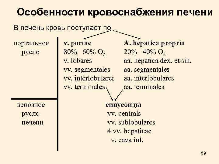 Особенности кровоснабжения печени В печень кровь поступает по портальное русло венозное русло печени v.