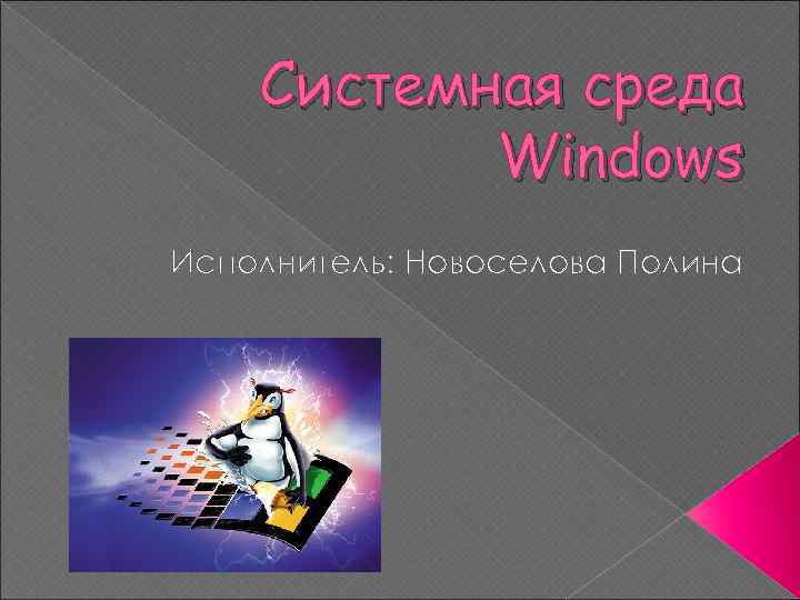 Системная среда Windows Исполнитель: Новоселова Полина 