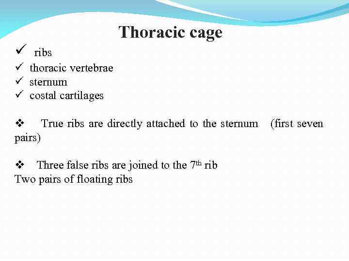 Thoracic cage ü ribs ü thoracic vertebrae ü sternum ü costal cartilages v True
