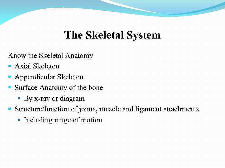 The Skeletal System Know the Skeletal Anatomy § Axial Skeleton § Appendicular Skeleton §