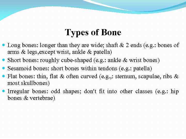 Types of Bone Long bones: longer than they are wide; shaft & 2 ends