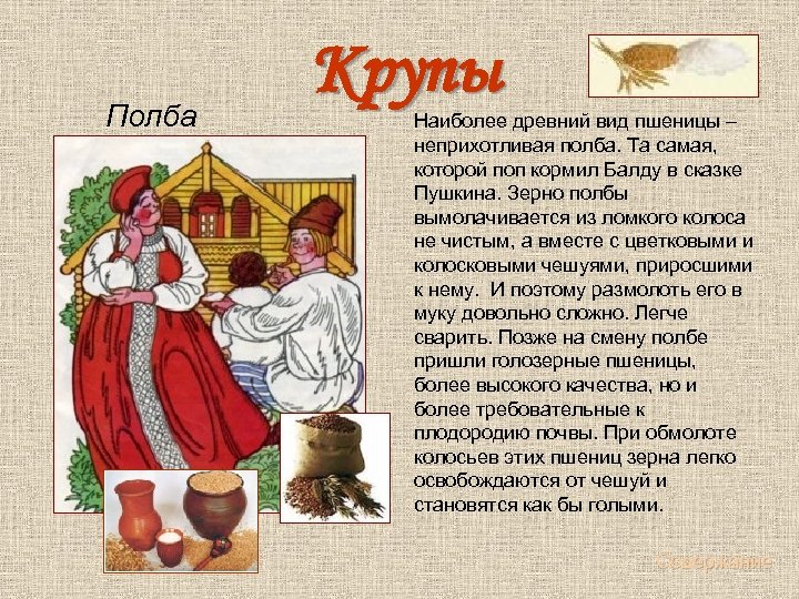 Полба Крупы Наиболее древний вид пшеницы – неприхотливая полба. Та самая, которой поп кормил