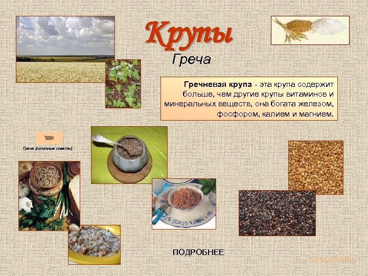 Крупы Греча Гречневая крупа - эта крупа содержит больше, чем другие крупы витаминов и