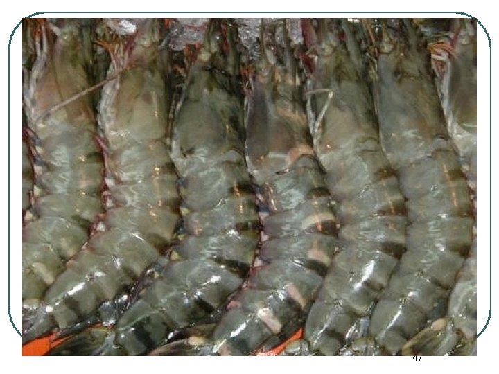 7. CONFORMITY ASSESSMENT ACCREDITATION l Benefits l Global Confidence in the Competence of Labs,