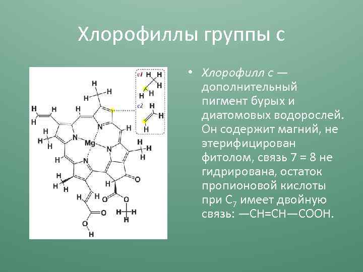 Хлорофиллы группы с • Хлорофилл с — дополнительный пигмент бурых и диатомовых водорослей. Он