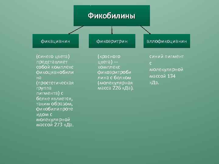 Фикобилины фикацианин (синего цвета) представляет собой комплекс фикоцианобили на (простетическая группа пигмента) с белке