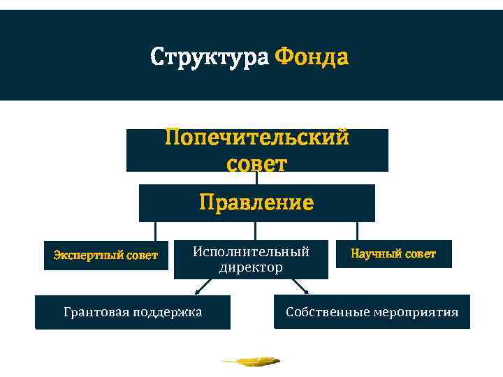 Структура благотворительного фонда в схеме