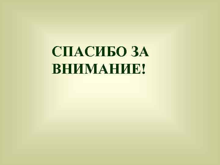СПАСИБО ЗА ВНИМАНИЕ! 