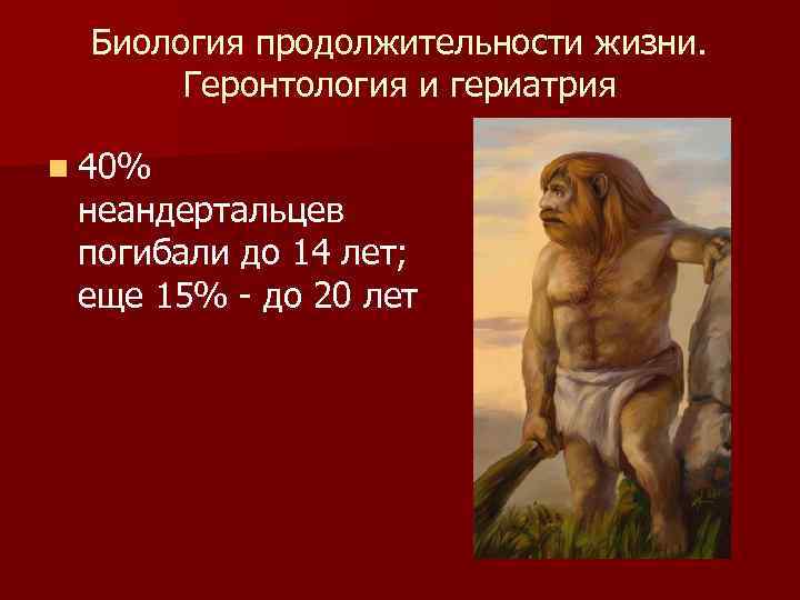 Биология продолжительности жизни. Геронтология и гериатрия n 40% неандертальцев погибали до 14 лет; еще