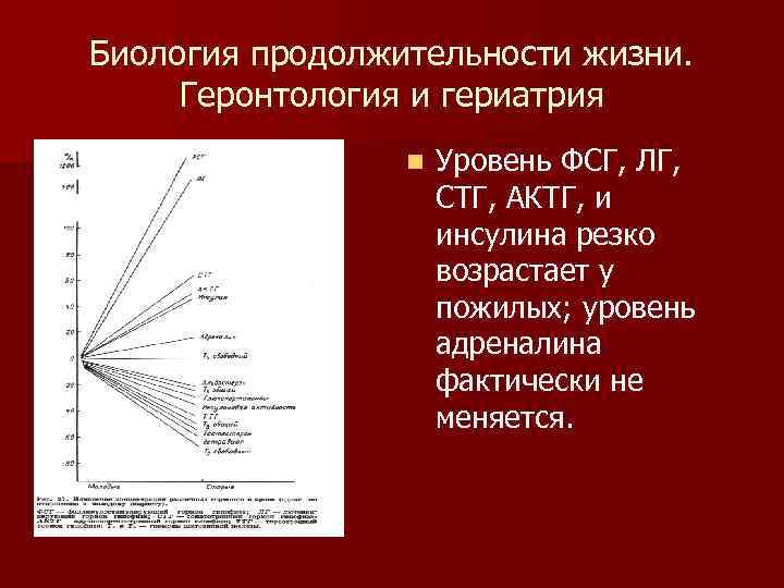 Биология продолжительности жизни. Геронтология и гериатрия n Уровень ФСГ, ЛГ, СТГ, АКТГ, и инсулина